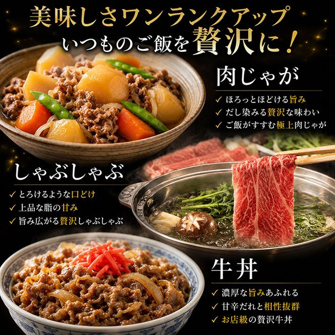 飛騨牛切り落とし　600ｇ(300g×2) 牛肉 お肉 国産 黒毛和種 柔らかい とろける くちどけが良い 霜降り 細かいサシ 食材 食卓 グルメ 