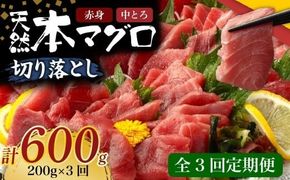 【 3回定期便 】 天然本マグロ 中トロ 赤身 切り落とし 200g 小分け(100g×2パック) 訳あり マグロ 刺身 カルパッチョ まぐろ丼 まぐろ漬け丼 魚 惣菜 海鮮丼 魚介類 食べきりサイズ 父の日 冷凍 不揃い クロマグロ 黒マグロ
