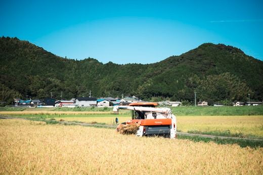 【令和6年産】【自然環境米】鬼北のせせらぎ5kg（鬼北産コシヒカリ） ｜ お米 お米不足 お米品薄 おいしい お米 事業者支援 送料無料 白米 精米 国産 限定 ごはん ご飯 白飯 ゴハン 愛媛県産 鬼北町　＜米 コメ こめ 精米 お米 白米 コシヒカリ 環境に優しい こだわり 持続可能 愛媛県 鬼北町 ＞