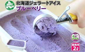 604.アイスクリーム ブルーベリー ジェラート 業務用 2リットル 2L アイス 大容量  手作り 北海道 弟子屈町