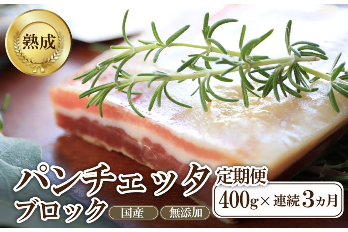 [定期便 毎月×3回]パンチェッタブロック(豚バラ肉の塩漬け) 約200g×2袋