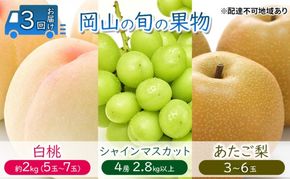 フルーツ 定期便 【2026年 先行予約】 桃 ぶどう 梨 3回お届け 白桃 約2kg入り(5玉～7玉) シャインマスカット 4房2.8kg以上 あたご梨 (3～6玉)  岡山県産 国産 セット ギフト