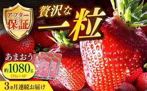 【全3回定期便】【2025年2月〜お届け】農家直送 朝どり新鮮いちご【博多あまおう】約270g×4パック《築上町》【株式会社H&Futures】[ABDG006]