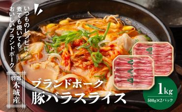 特選木城産 豚バラスライス 500ｇ×2 K56_0018_1