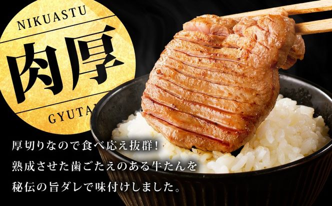 mrz0314 【期間限定】厚切り 牛たん & 牛ヒレ 1kg【スピード発送 氷温熟成×旨塩ダレ／特製ダレ 食べ比べ 訳あり サイズ不揃い】