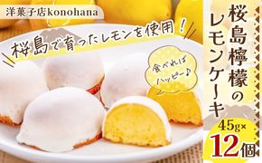桜島檸檬のレモンケーキ　K236-001