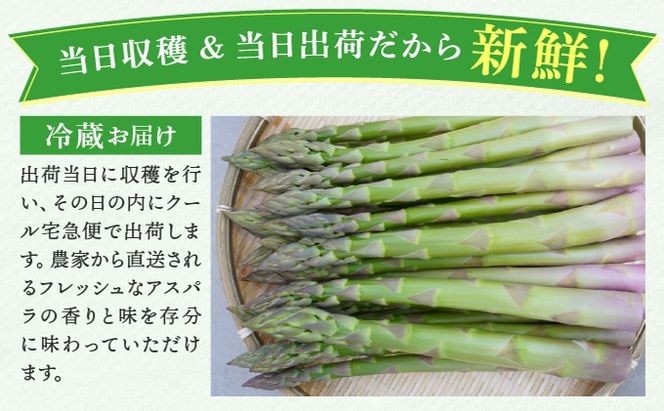 【2026年先行予約】太くてあまーい 北海道産 春芽 アスパラ (約1kg／LL以上中心＋3L・L混合 ) 先行予約 新鮮 採れたて直送 旬 野菜 あすぱら 農家直送 北海道  Farm&Firm かたもと 伊達市