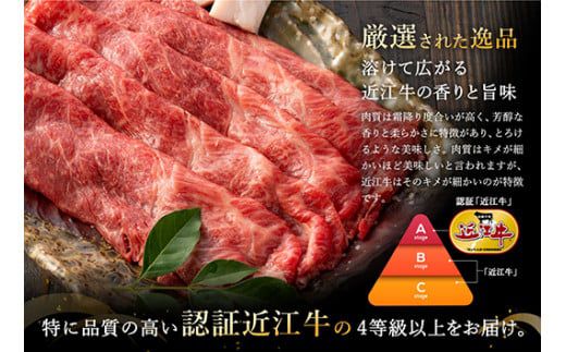 【4等級以上】【近江牛　ウデ】すき焼・しゃぶしゃぶ用【500ｇ】【BI02W】（滋賀県　近江八幡市）