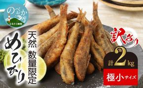 【訳あり】めひかり 計 2kg 天然 数量限定 【極小サイズ 500g×4袋 280尾以上】 N124-YZA0397