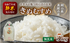 令和7年産 真庭市産きぬむすめ 無洗米 5kg / お米 国産 岡山県 米 人気 ブランド 2025年産 【tkns007-01-cho】
