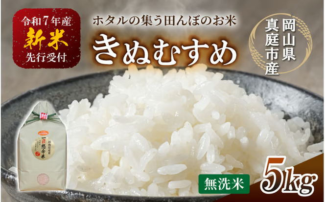 令和7年産 真庭市産きぬむすめ 無洗米 5kg / お米 国産 岡山県 米 人気 ブランド 2025年産 【tkns007-01-cho】