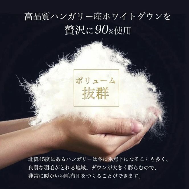 【ブルー（柄）】京都金桝 冬用羽毛布団 セミダブルサイズ×1枚 【ふとん 布団 寝具 国産 日本製 羽毛布団 羽毛ふとん 羽毛ぶとん うもうぶとん うもうふとん 本掛け 羽毛布団セミダブル 掛け布団 掛布団】アクア