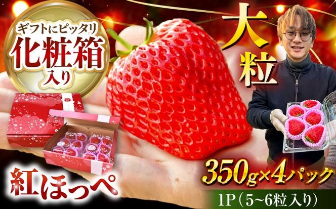 ymszys\z _2026N1{菇^ʂ n gق (350g×4pbN)  ʕ t[c s / ͂Ɖ|[AECD002]