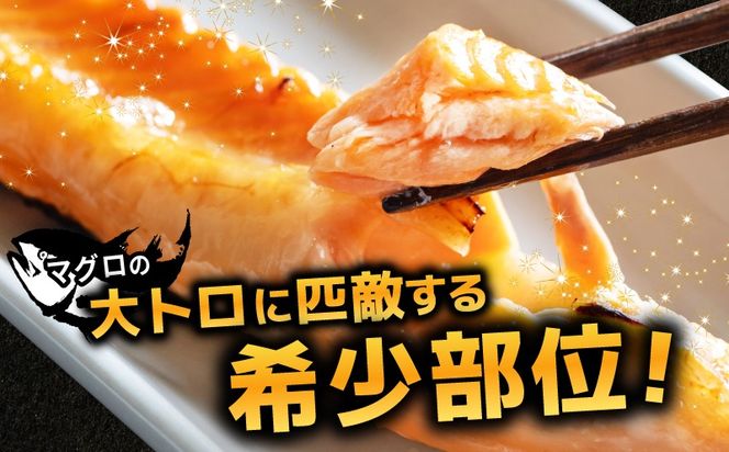 kgp0082 【訳あり】アトランティックサーモン ハラス 2kg 【1kg×2P ノルウェー 大トロ 腹身 上質 冷凍】