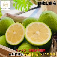 紀州和歌山 ご家庭用 有田 レモン 1.5kg+200g(痛み補償分)【防腐剤・ワックス不使用】【農家直送】【訳あり】 ※着日指定不可 ※2026年9月下旬～2027年3月下旬に順次発送予定【ard188A】