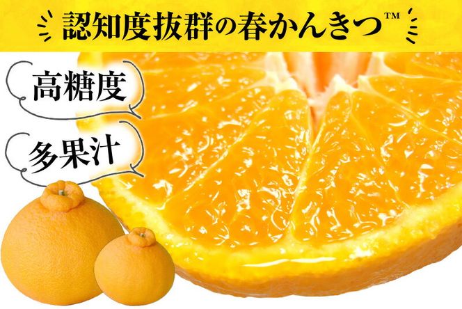 デコ不知火（デコポン） 約5kg / サイズおまかせ　※2027年2月上旬～2027年4月上旬頃に順次発送予定(お届け日指定不可)　紀伊国屋文左衛門本舗　【sgtb420A】