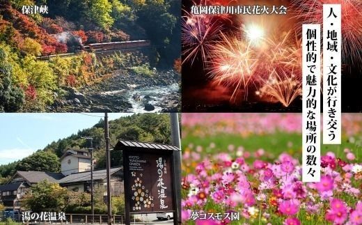 【京都ツアー】京都 亀岡 旅行クーポン 30,000円分 後から選べる 旅行Webカタログで使える! 旅行チケット 宿泊チケット 券 温泉 家族 ギフト 宿 旅館 ホテル 老舗 予約 トラベル 旅行券 宿泊券