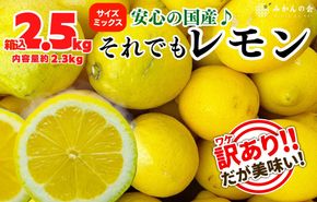 訳あり レモン B品  箱込2.5kg(内容量約2.3kg) 和歌山県有田産（サイズミックス）【みかんの会】  AX78