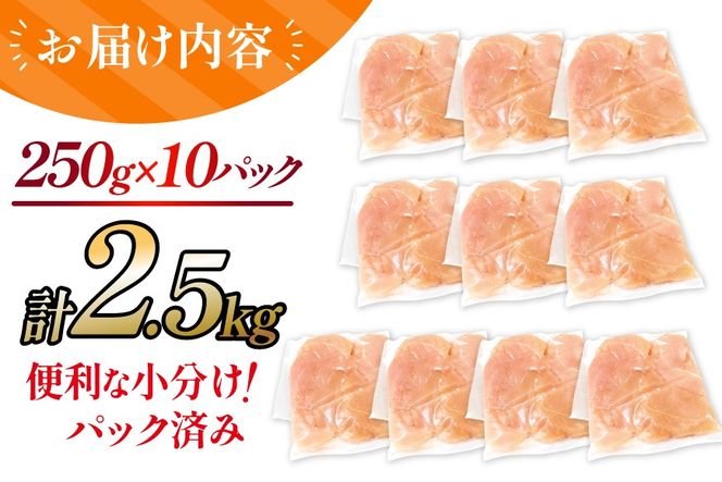 鶏肉 ささみ 宮崎県産 若鶏ささみ 2.5kg セット [TRINITY 宮崎県 日向市 452061348] ササミ 鶏ささみ 鶏ササミ 小分け 冷凍 真空パック 個包装 宮崎 若鶏 国産