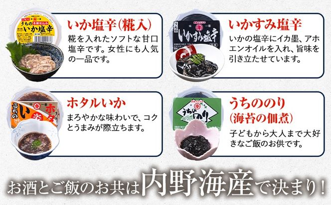 内野海産の海の幸セット 20個入り 《45日以内に出荷予定(土日祝除く)》あみ漬 いか 海苔 佃煮 塩辛 いかすみ---sn_cuchisaci20_45d_r7_17500_800g---