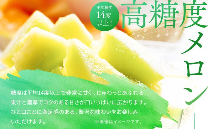 【先行予約】956.【ふるさと納税】青肉メロンディーバと赤肉メロンプリモレッドのセット ※日本全国配送可能  2026年10月上旬頃～11月上旬頃に順次発送予定 313726_BQ012