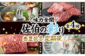 ＜先行予約受付中！2026年1月中旬より配送開始予定＞＜定期便・全4回＞味力全開！佐伯の彩り 春夏秋冬 定期便(該当月にお届け) 期間限定 鰤 ブリ ステーキ モモ とらふぐ 刺身 ふぐ 鍋 セット【BR115】【佐伯市ふるさと納税事業者協議会】