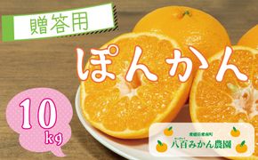 【 贈答用 】 ぽんかん 10kg 先行予約 <発送期間：1月中旬～無くなり次第終了> 八百みかん農園 の ぽんかん 15000円 家庭用 10kg 先行 事前 予約 受付 みかん 不知火 はるみ 防腐剤不使用 愛媛 産地直送 国産 農家直送 糖度 甘味 果樹園 期間限定 数量限定 特産品 プレゼント 人気 限定 愛南 正品 果実 ギフト 風味 甘い フルーツ 果物 柑橘 蜜柑
