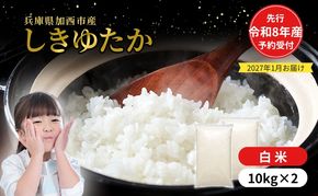 【令和8年産 先行受付】しきゆたか 白米 20kg (10kg×2)《2027年1月発送》