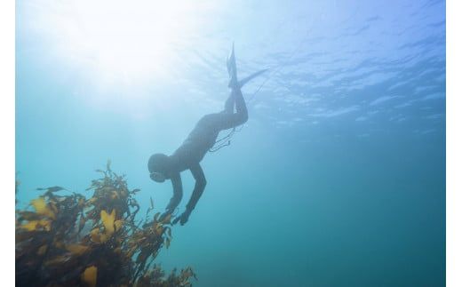 50-58海女の国 完全天日塩　アマノイソシオ