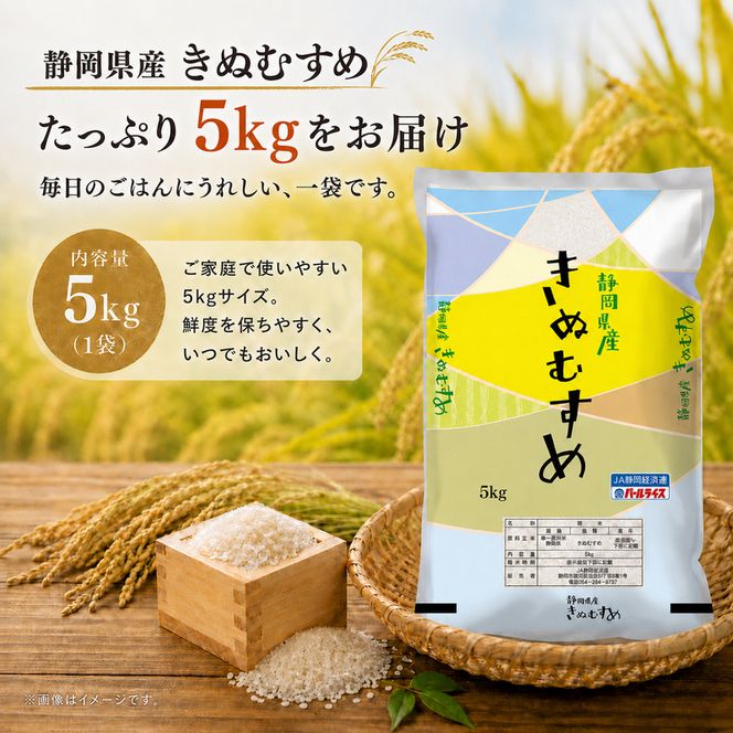 米 静岡きぬむすめ 5kg お米 白米 コメ 精米 きぬむすめ 静岡県産 袋井市 静岡県
