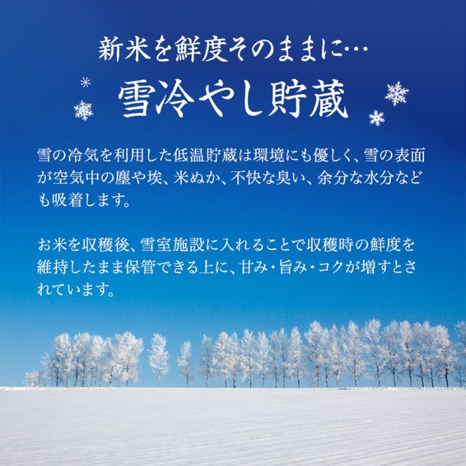 【6ヶ月定期便】特別栽培米 魚沼産こしひかり(十日町地域) 精米 5kg 米 お米 コシヒカリ 定期 十日町市