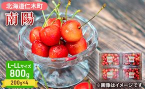 先行受付 さくらんぼ 南陽 800g（200g×4）L-LLサイズ混合  サクランボ チェリー フルーツ 果物 果物類  北海道 仁木町 仁木 [大塚農園]
