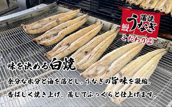 ＼レビューキャンペーン実施中／【最速発送】特上 国産うなぎ蒲焼き2尾セット 【合計550g以上】 山椒付き 鰻 ウナギ 1週間以内発送 [SF006ya]