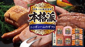 日本ハム 筑西工場 本格派 ギフトセットB 肉 にく 贈答 ギフト 詰め合わせ ハム ソーセージ ウィンナー 生ハム 焼豚 [AA081ci]