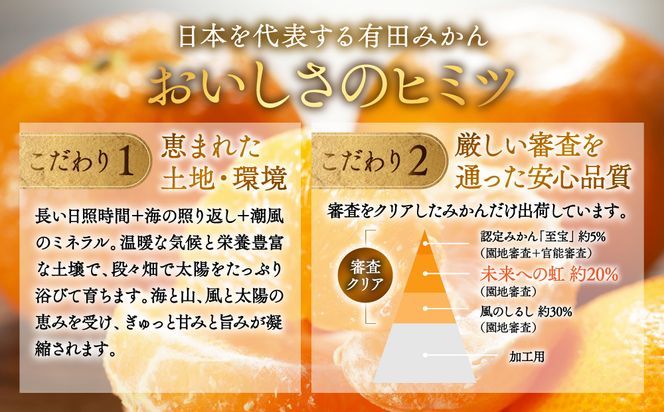  2.有田みかん「未来への虹」（10kg） (A2-2)