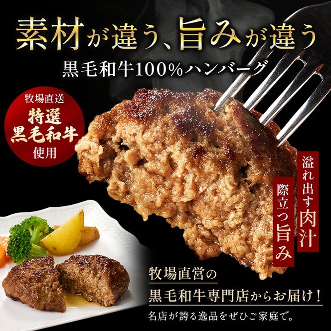 【食べログ百名店】倉薗牧場の国産黒毛和牛100％の贅沢ハンバーグ120g×5個 (牛肉 牛 ハンバーグ ビーフクックくらぞの)