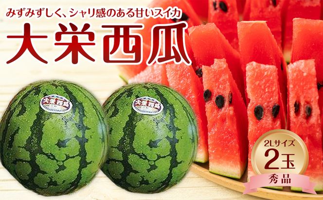 733.【先行予約】【ＪＡ】大栄西瓜 秀2Ｌ×2玉　※着日指定不可　※離島への配送不可　※2026年6月中旬頃～7月中旬頃に順次発送予定 313726_BN002
