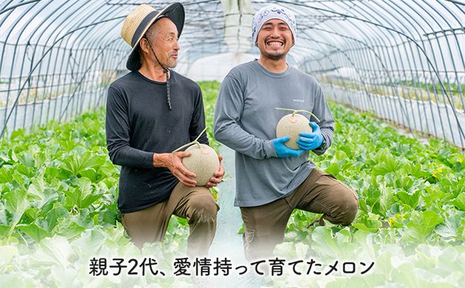 【2026年夏発送】北海道 富良野産 青肉メロン 2玉 計2.8kg以上 ふらの メロン ギフト 果物 青玉(榎本農園) メロン キングメルティ フルーツ 果物 新鮮 甘い 贈り物 ギフト 道産 ジューシー おやつ ふらの ブランド 夏