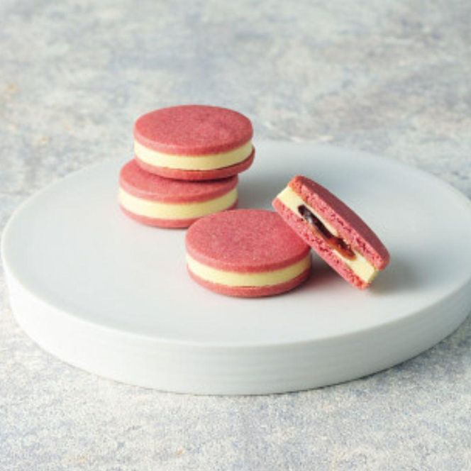 【ギフト包装対応】【期間限定】ザ・スウィーツ ショコラサンド(10個) ｜シャディ スイーツブランド 人気セット スイーツ［ シャディ お取り寄せ ショコラサンド 人気 おすすめ ナッツ ラズベリー 紅茶 レモン ギフト プレゼント 贈答 お菓子 スイーツ 通販 京都 ふるさと納税 ］ 261009_SHDYAS011