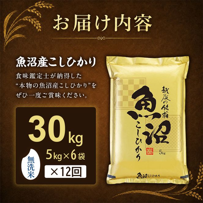 【令和8年産 先行予約】無洗米「12カ月定期便」食味鑑定士厳選！３０kg（５kg×６）×12回 白米 安心 安全 こだわり 米 コシヒカリ 定期 新潟県 十日町市