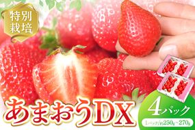 【先行予約受付中】【2026年12月以降順次発送】特別栽培あまおうDX4パック【うるう農園】_AS1966-00