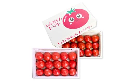 【先行予約】完熟トマト しんちゃんトマト 約1.5kg(750g×2箱) 〈2027年1月〜発送〉/ 糖度7.0～8.9度 約1.5キロ とまと トマト 野菜 やさい 料理 サラダ マリネ 甘味 酸味 食品 食べ物 おいしい お取り寄せ