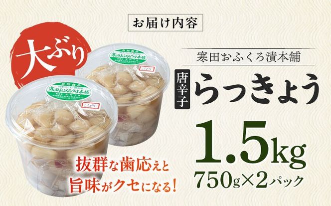 【2026年7月中旬以降順次発送】らっきょう 1.5kg（唐辛子）　《築上町》【寒田おふくろ漬本舗】[ABDO003]