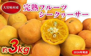【2026年発送】完熟フルーツシークヮーサー 約3kg 沖縄 おきなわ 大宜味村 果物 くだもの 果実 シークワーサー しーくわーさー 完熟 沖縄県産 産地直送 お取り寄せ 人気 食品 送料無料 国産 県産 ご当地 やんばる ノビレチン