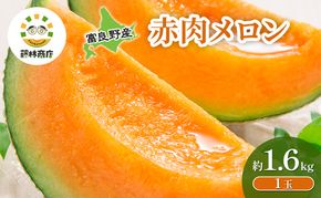 【2026年夏発送】メロン 北海道 富良野メロン 赤肉1玉 約1.6kgサイズ以上 北海道 ふらの めろん 果物 フルーツ 甘い ジューシー