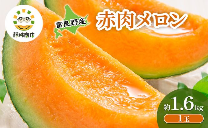 【2026年夏発送】メロン 北海道 富良野メロン 赤肉1玉 約1.6kgサイズ以上 北海道 ふらの めろん 果物 フルーツ 甘い ジューシー