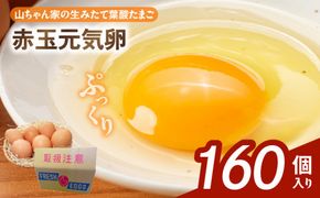 【山ちゃん家の生みたて葉酸たまご】赤玉元気卵（160個入り）［132Y08］