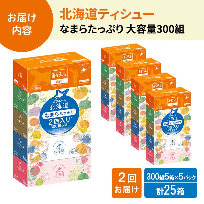 定期便 2ヵ月連続お届け エリエール ハーフサイズ 収納に便利 コンパクト 【少量5パック】 北海道ティシュー 300組 5箱×5パック 計25箱 なまらたっぷり 大容量 防災 常備品 備蓄品 消耗品 日用品