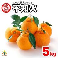 【先行予約】 訳あり 不知火 5kg  しらぬい かんきつ 柑橘 みかん 蜜柑 でこぽん おやつ きず 傷 ふぞろい 不揃いフルーツ 果物 くだもの 果実 愛媛県 愛南町 みかん職人武田屋