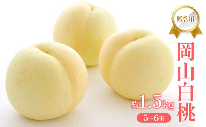 桃 2026年 先行受付 贈答用 岡山 白桃 約1.5kg (5～6玉) フルーツ 果物 岡山 赤磐市